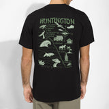 Classic Tee "Beaches"